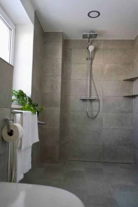 Apartment Haus Allgaeu Schwabennestle